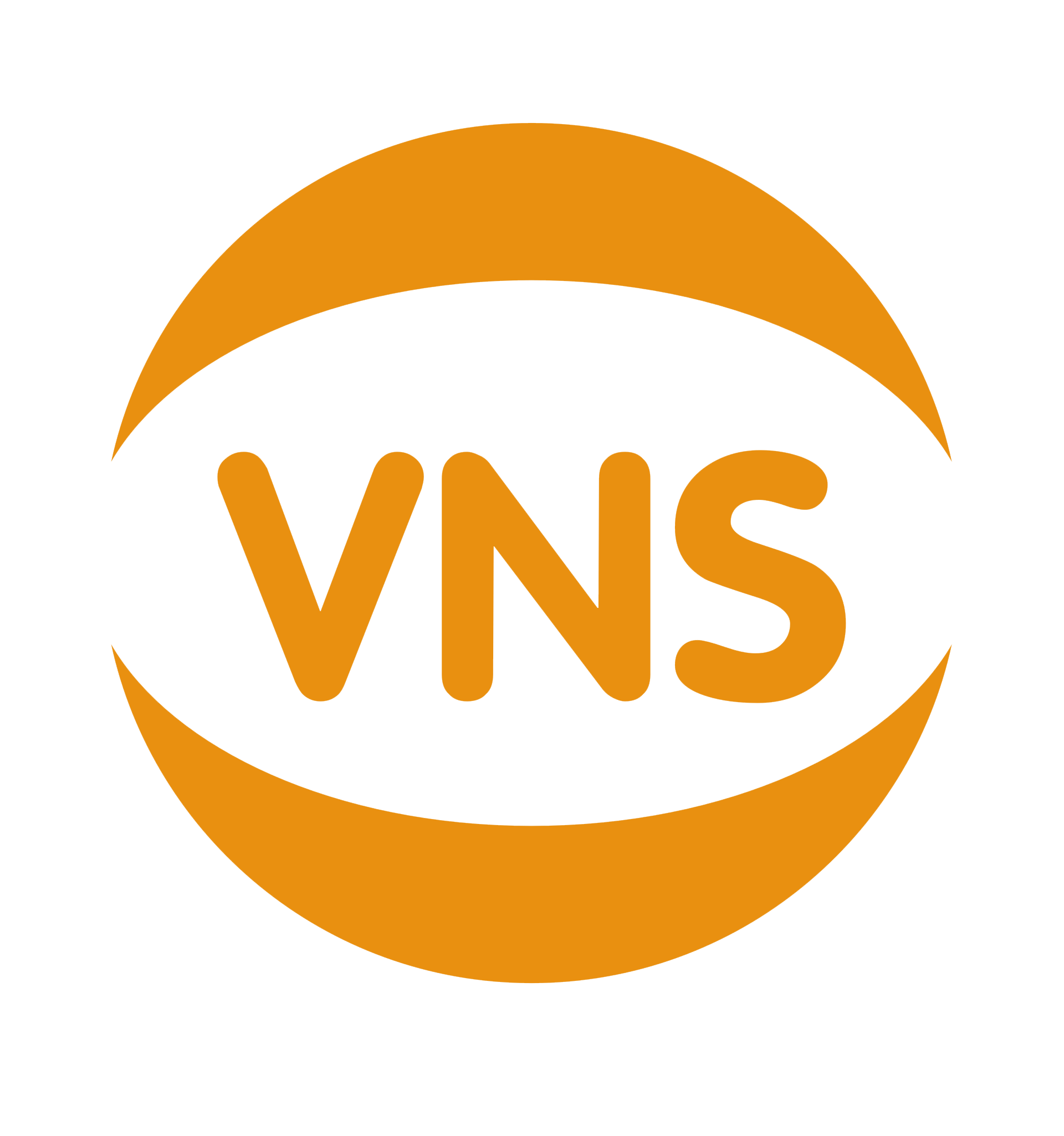 Logo Viễn Nam Solutions Logo Viễn Nam Solutions