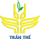 Chuối cấy mô Trần Thế